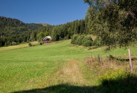 Phoca Thumb M Kunzenmoos Und Feldberg 6919 2017